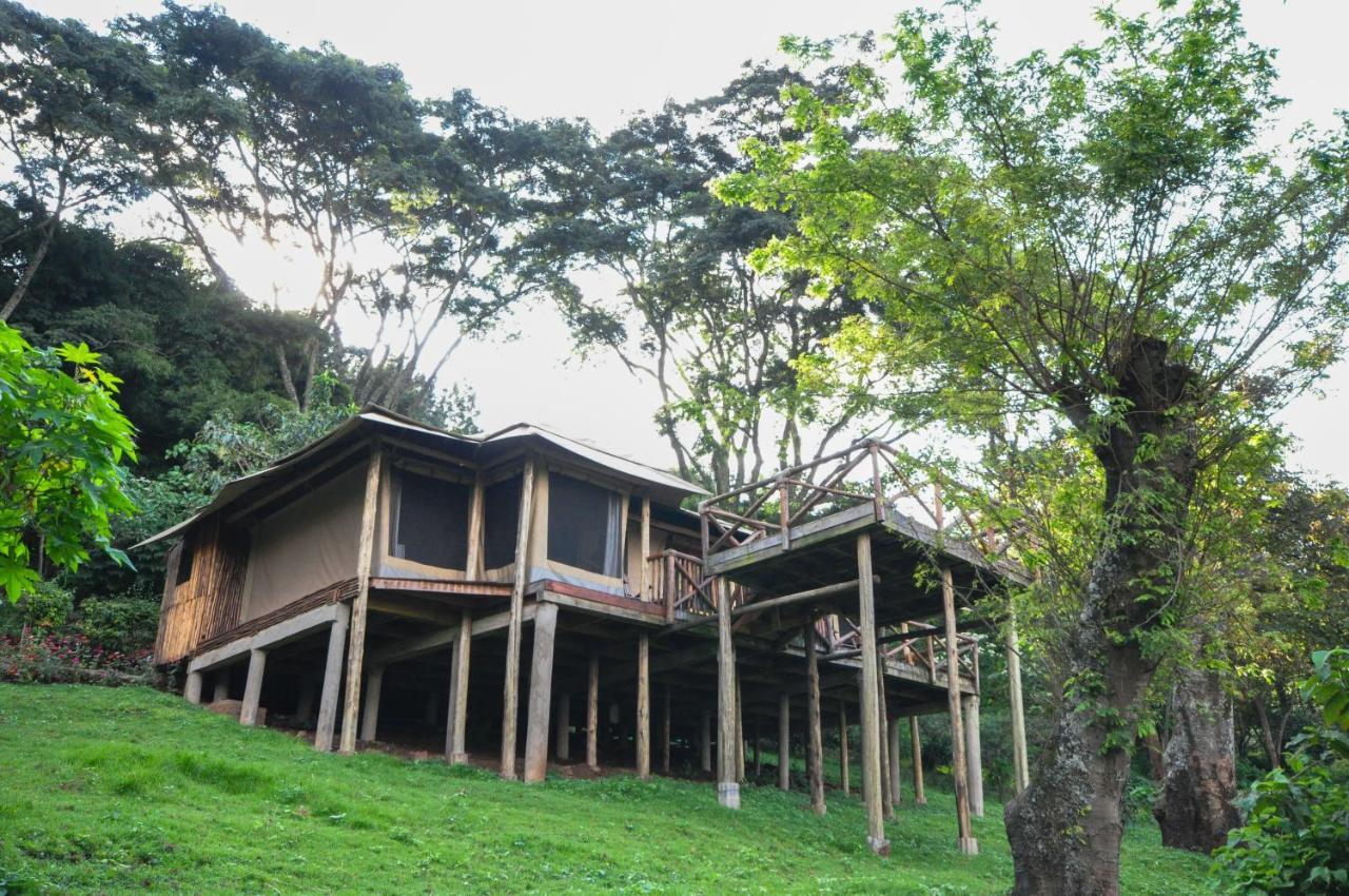 Karama Lodge Arusha Extérieur photo